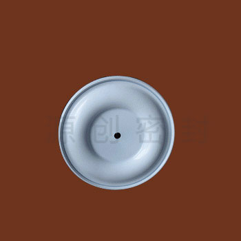 DN15-65 四氟在线影院片